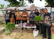 Panen Hasil Ketahanan Pangan, Jadikan Lapas Pasir Pangaraian Semakin Produktif