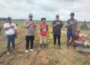Polsek Pangean Tinjau Lokasi Penanaman Jagung Pipil Di PT. Gatipura Mulya Dukung Program Ketahanan Pangan