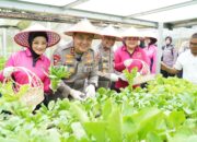 Polda Riau Ikuti Launching Program Pekarangan Pangan Lestari dan Laksanakan Kegiatan Ketahanan Pangan