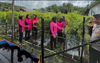 Polsek Tapung Hilir Dukung Program Pekarangan Pangan Lestari, Dorong Kemandirian Pangan di Desa Tapung Makmur!