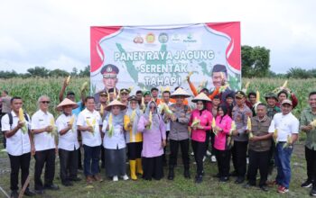 Polres Kampar Sukses Panen Raya Jagung Tahap I, Wujudkan Sinergi dan Dukung Ketahanan Pangan Nasional