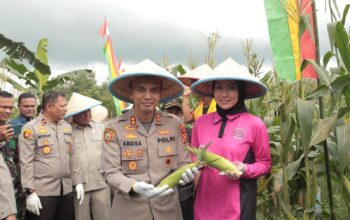 Polres Kuansing Ikuti Vidcon Panen Raya Jagung Serentak Tahap 1 Dalam Rangka Dukung Swasembada Pangan Tahun 2025