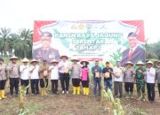 Panen Raya Jagung Serentak Di Desa Pasir Agung, Wujud Nyata Swasembada Pangan
