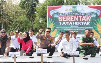 Kapolres Bengkalis: Penanaman Jagung Serentak Tahap I Sukses Program Asta Cita 1 Juta Hektar Meningkatkan Produksi Jagung