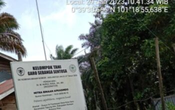 Kelompok Tani (KT) Binaan Asosiasi Petani Kelapa Sawit Indonesia (Apkasindo) KT Garo Sebanga Sentosa Diduga Berada Dalam Kawasan Hutan