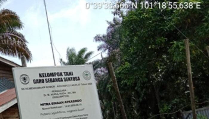 Kelompok Tani (KT) Binaan Asosiasi Petani Kelapa Sawit Indonesia (Apkasindo) KT Garo Sebanga Sentosa Diduga Berada Dalam Kawasan Hutan