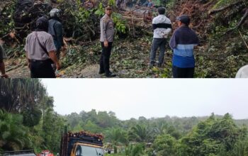 Polsek Singingi Tinjau Lokasi Longsor di Jalan Lintas Pekanbaru–Taluk Kuantan, Koordinasi Penanganan Terus Dilakukan