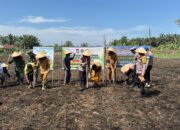 Kapolsek Perhentian Raja Hadir di Penanaman Jagung: Dukung Swasembada Pangan Nasional