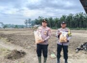 Kapolsek Tapung Hilir Dukung Ketahanan Pangan: Ikut Tanam Jagung di Desa Kijang Jaya