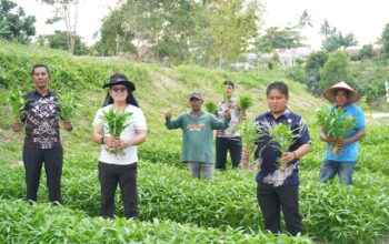 Panen Kangkung, Buah Manis dari Pembinaan di Rutan Pekanbaru