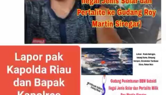 Diduga Rugikan Negara, Ancaman Kebakaran di Dekat Sekolah, Publik Minta Aparat Tangkap Roy Martin Siregar