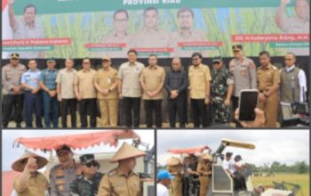 Wamentan Panen Raya Padi dan Sekaligus Pelantikan HKTI Provinsi Riau Di Desa Binuang