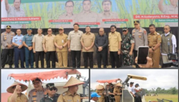 Wamentan Panen Raya Padi dan Sekaligus Pelantikan HKTI Provinsi Riau Di Desa Binuang