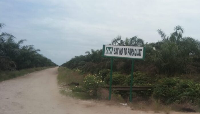 Dugaan Kasus PT. Musim Mas Perkampungan Masuk Dalam HGU di Pelalawan, Warga Minta Dilepaskan