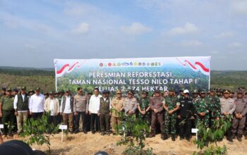 Pemulihan Kawasan TNTN, Menteri Kehutanan RI Tanam Pohon Simbolis di Pelalawan