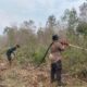 Dansat Brimob Polda Riau Turun Langsung Tinjau dan Pemadaman Karhutla di Dumai