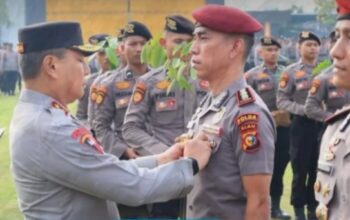 Prestasi Gemilang di Polda Riau! AKBP Rooy Noor Terima Pin Emas Kapolri Atas Keberhasilan Ungkap Kasus Perburuan Gajah Liar!