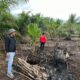 Pelaku Karhutla di Teluk Meranti Ditangkap Polres Pelalawan