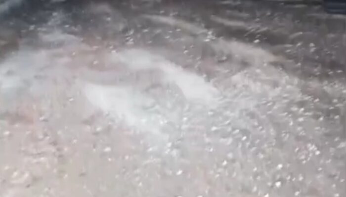 Dugaan Gudang BBM Ilegal di Tenayan, Hasil Cek Lapangan: Lokasi Kosong, Tidak Ada Aktivitas Penimbunan