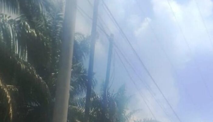 Warga Desa Muara jaya RT 3 RW 1 Dusun 1 Resah Akibat Kurangnya Arus Listrik di Perumahan