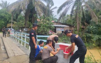 Akses Harapan Terbuka, Satbrimob Polda Riau Rampungkan Pembangunan Jembatan di Rokan Hulu