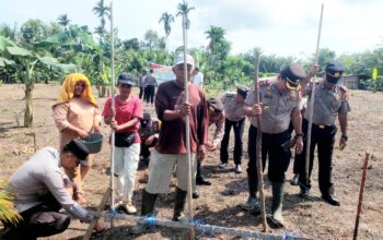 Polsek Ujung Batu Tanam Jagung Dukung Ketahanan Pangan di Desa Ngaso