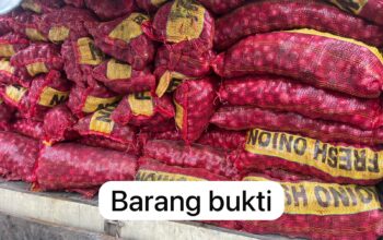 Polsek Teluk Meranti dan Reskrim Polres Pelalawan Gagalkan Penyelundupan 887 Karung Bawang Ilegal di Teluk Meranti