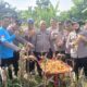 POLSEK SENAPELAN PANEN JAGUNG PIPIL DUKUNG PROGRAM KETAHANAN PANGAN