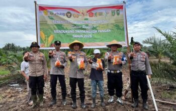 Dukung Ketahanan Pangan Nasional, Kapolsek Bukit Kapur Dan Jajarannya Tanam Jagung Pipil Di Lahan Seluas Satu Hektar