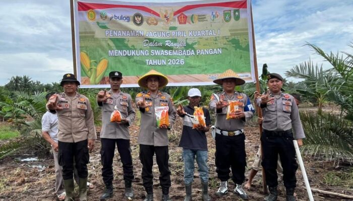 Dukung Ketahanan Pangan Nasional, Kapolsek Bukit Kapur Dan Jajarannya Tanam Jagung Pipil Di Lahan Seluas Satu Hektar