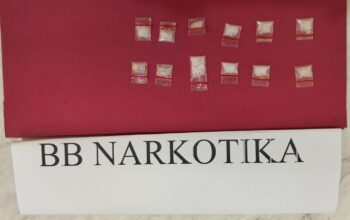 Pengedar Sabu Ditangkap, Polsek Tambusai Utara Berhasil Gagalkan Transaksi 12 Paket Sabu di Mahato Sakti