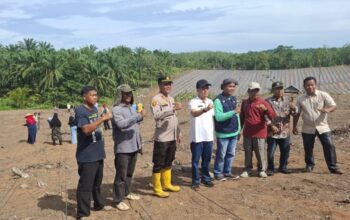 Polsek Tambusai Dukung Program Ketahanan Pangan Prabowo, “Tanam Jagung di Desa Talikumain”