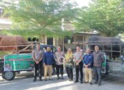 Kapolda Sumbar Pimpin Penyaluran 49 Ekor Sapi dan 8 Kambing Kurban, SDM Polda Sumbar Hadir untuk Masyarakat “Pastikan Kegiatan Berjalan Sukses”