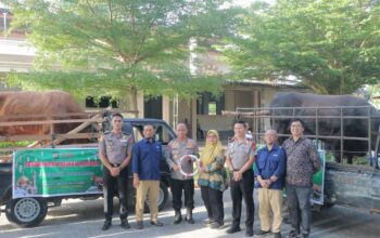 Kapolda Sumbar Pimpin Penyaluran 49 Ekor Sapi dan 8 Kambing Kurban, SDM Polda Sumbar Hadir untuk Masyarakat “Pastikan Kegiatan Berjalan Sukses”