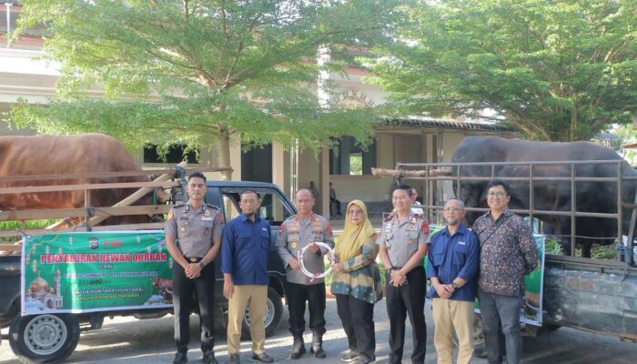 Kapolda Sumbar Pimpin Penyaluran 49 Ekor Sapi dan 8 Kambing Kurban, SDM Polda Sumbar Hadir untuk Masyarakat “Pastikan Kegiatan Berjalan Sukses”