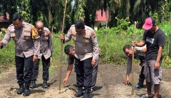 Polsek Ujung Batu kembali menjalankan Progam Pemerintah Untuk Ketahanan Pangan Di Desa Sukadamai