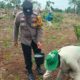Polsek Tandun Intensifkan Penanaman dan Perawatan Jagung Dukung Program Ketahanan Pangan Nasional