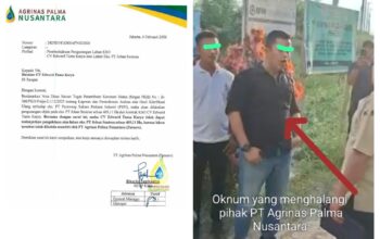Negara Tak Boleh Kalah,,!! PT. Agrinas Palma Nusantara Mendesak Pihak Kepolisian Menindak Tegas KSO CV. ETK yang Memanen Paksa Padahal KSO nya Sudah Dibatalkan