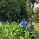 Polsek Tandun Aktif Dukung Program Ketahanan Pangan Nasional Melalui Penanaman Jagung Pipil