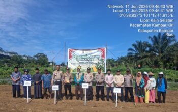 Polsek Kampar Kiri Gandeng Pesantren Manidatul Iman Dan Poktan Tanami 1 Ha Jagung Pipil Lamuru, Dukung Ketahtanan Pangan Program Astacita 