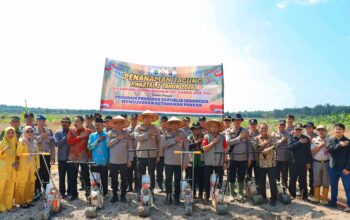 DUKUNG KETAHANAN PANGAN MENUJU SWASEMBADA JAGUNG, POLDA RIAU MELALUI POLRES SIAK DAN PEMKAB SIAK GELAR PENANAMAN 12 HEKTAR JAGUNG PIPIL