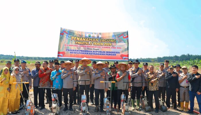 DUKUNG KETAHANAN PANGAN MENUJU SWASEMBADA JAGUNG, POLDA RIAU MELALUI POLRES SIAK DAN PEMKAB SIAK GELAR PENANAMAN 12 HEKTAR JAGUNG PIPIL