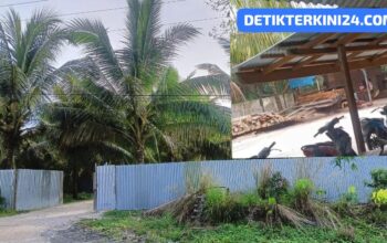 Sowmil Hasil Diduga Ilegal Logging di Kecamatan Kuok, Kabupaten Kampar, Bebas Beroperasi Tanpa Tersentuh Hukum, Kemana APH…???