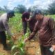 Dari Ruangan Ber-Ac Kelumpur Sawah, Ketika SDM Polda Riau Dan Polsek Rambah Samo Tulis Sejarah Swasembada Pangan