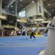 Bharada Sandi Morea Persembahkan Emas, Harumkan Nama Brimob Riau di Sumut Nasional Taekwondo Championship 2026