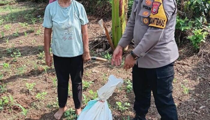 Polsek Tandun Perkuat Pendampingan Petani di Desa Tandun Barat,Dukung Swasembada Pangan Nasional