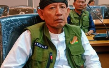 GEMA Melayu Riau RDPU di DPR RI, Sekjen Sarankan Bupati dan DPRD Pelalawan Segerakan Perda MHA 