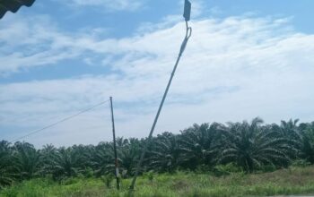 PAC RMRB Keluhkan Tiang PJU Pemda Rohul Miring dan Terancam Roboh di Ruas Jalan Provinsi Desa Koto Tandun
