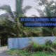 Diduga Kebal Hukum, Aktivitas Sawmill Penampung Kayu Ilegal di Kampar, Publik Soroti Komitmen Penegakan Hukum Polres Kampar