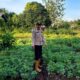 Dukung Swasembada Pangan Nasional, Polsek Teluk Belengkong Melalui Bhabinkamtibmas Bripka. Atprizon Sambangi Bpk. Jaya Permana yang Menanam Kacang